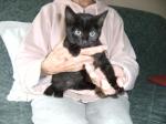 ivor
