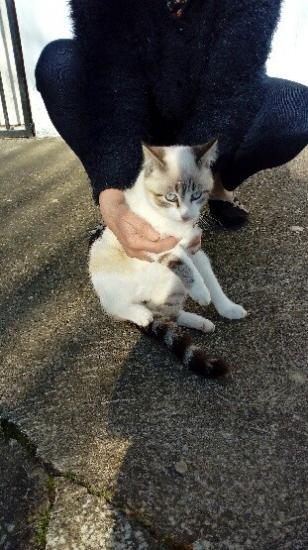 ragnar né le 15/9/20 adopté